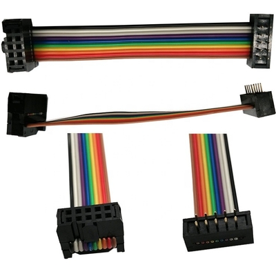 Male To Female Fireproof 10 Wire Ribbon Cable , Custom Length Awm 2651 Ribbon Cable
