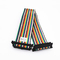 20CM Rainbow Ribbon Cable Single / Dual Female Connector For Instrumentation Equipment