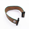 2 Pin To 10 Pin 1.27mm Pitch Flexible Ribbon Cable , Terminal JST / Molex Ribbon Cable